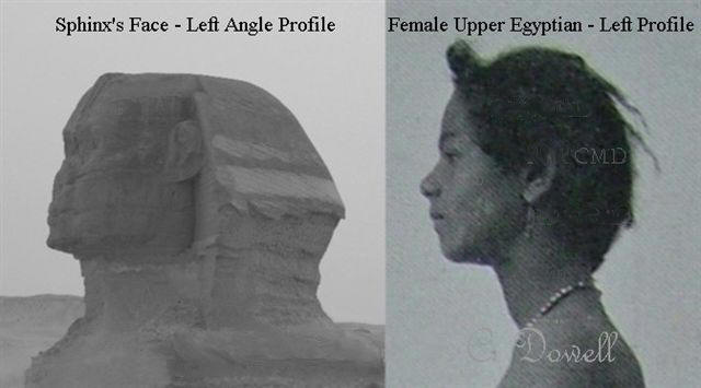 Image of Sphinx face left profile Upper Egyptian Female left profile  Ancient Egypt Sphinx article missing part of head