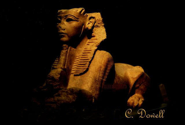 Image of Sphinx statue ancient Egyotian art Luxor Museum photograph by Colette Dowell