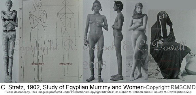 Image of Dr. C. Stratz Egyptian Mummy Upper Egyptian and Lower Egyptian Female